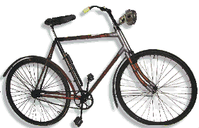 Bamboo bicycle