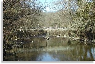 Shaky Bridge