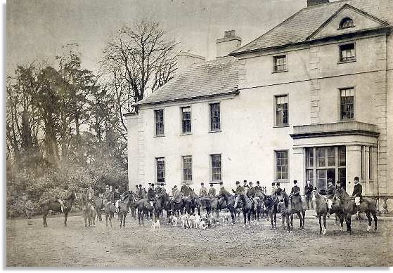 Brecon Hounds