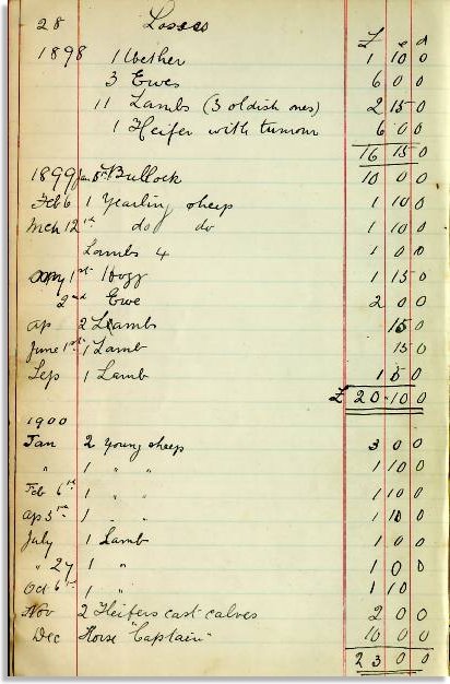 Statement of losses. Detholiadau o lyfr poced y Ffermwr Stephen