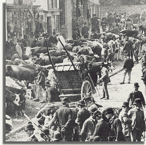 Farmers on market day